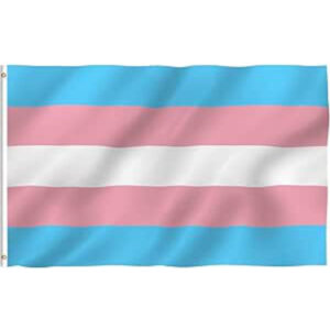 Flag Transgender 3'x 5'